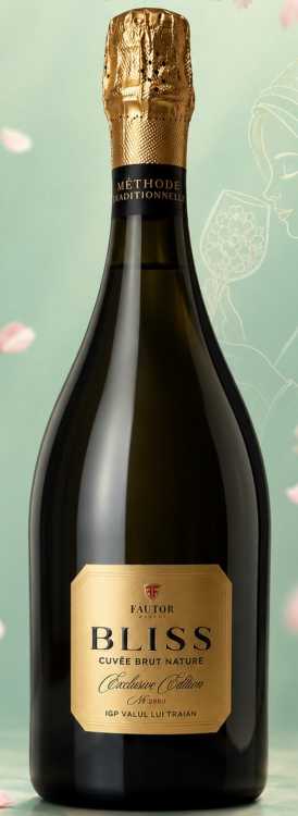 Шампанское «Bliss» 2022 Cuvee Brut Nature, Fautor. 0,75